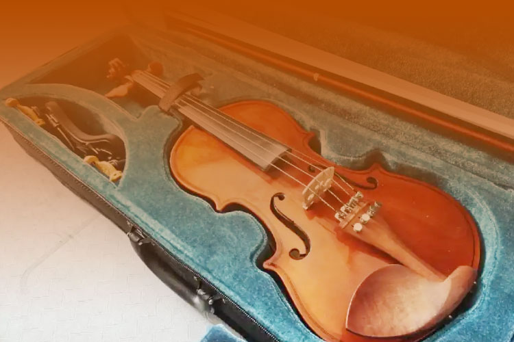 Musical instrument luggage