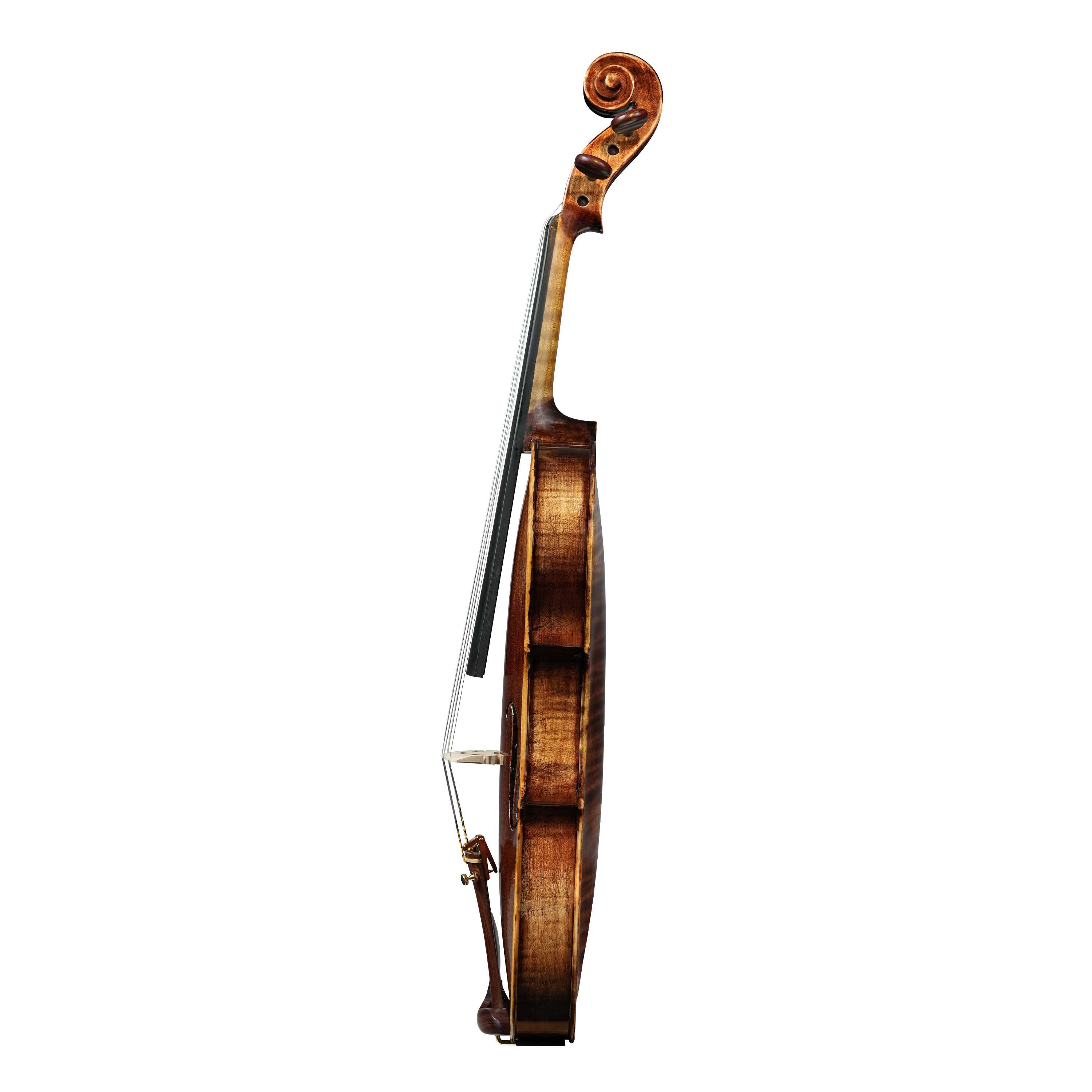 Semi-Professional Figured Maple Violin - Hybrid Solid Top/Plywood Back | Studio-Quality Projection at Entry-Pro Price